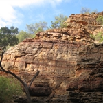 Murchison Gorge