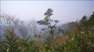 P1020445.JPG