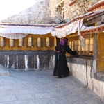 IMG_5991.JPG