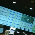 IMG00778-20101113-1907.jpg