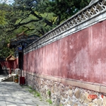 DSC06093.JPG