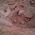 IMG-20120511-00460.jpg
