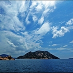DSC_2764.jpg