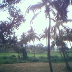 Trip De Meke Datu 2004