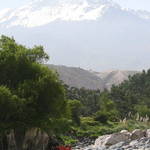 106.JPG