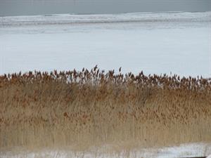 IMG_9186.JPG