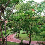 DSC00181.JPG