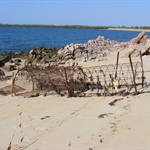 Crocodile Trap, Honeymoon Beach