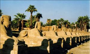 row of Shpinxes at Luxor