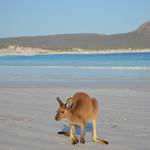 Esperance_15.JPG