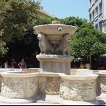 DSC00053.JPG