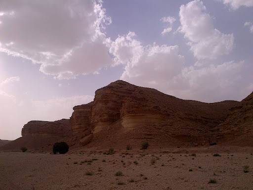 IMG-20120511-00443.jpg