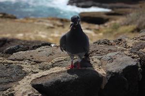 DSC_0580.JPG