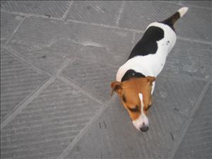 grosseto con Aleksandra (57).jpg