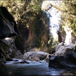 IMGP2614.JPG