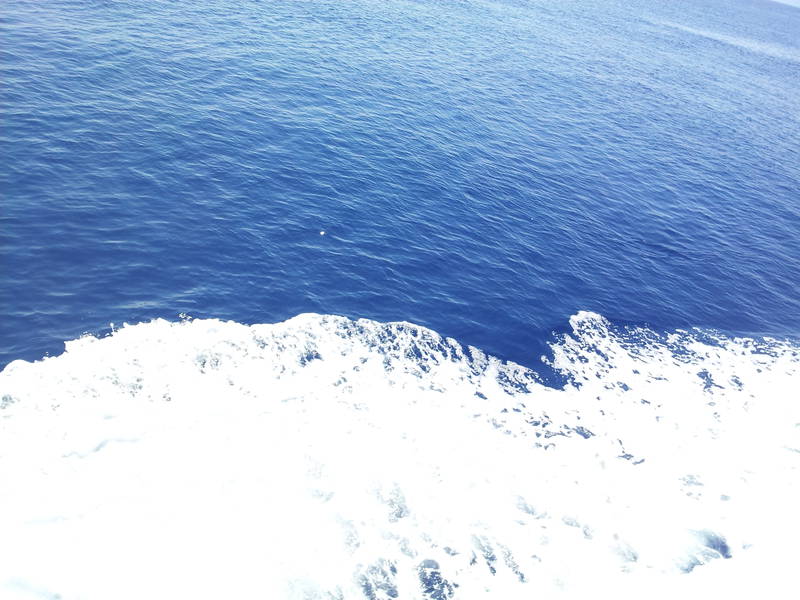 20120525_135520.jpg