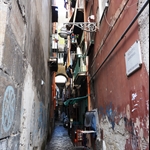 DSC02378.JPG