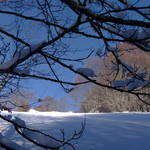 SAM_0483.JPG