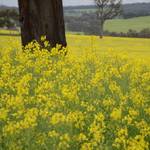 Farm_Walpole06.JPG