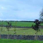 DSCN0965.JPG