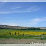 P1230301_Frame(trans_whiteline).JPG