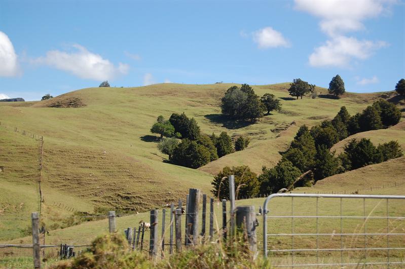 des collines vallonnées