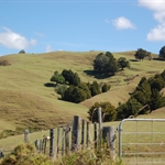 des collines vallonnées