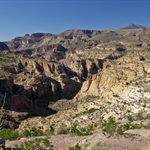 IMG_0942.jpg