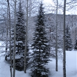 Vail 2011