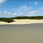 DSCN1127.jpg