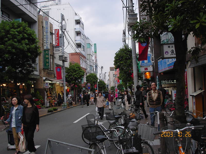 jp6-2.JPG