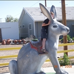 DSCN0411.JPG