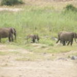 2008_0324SouthAfrica0009.JPG