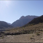 n580588714_532285_9089.jpg