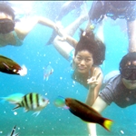 Redang - A Trip Underwater