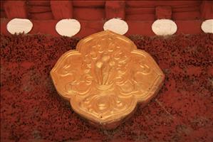 IMG_4664resized.JPG