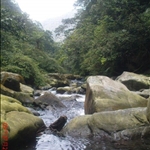 Nine Liao rivers 
