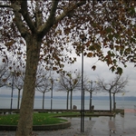Trevignano  - Lago di Bracciano