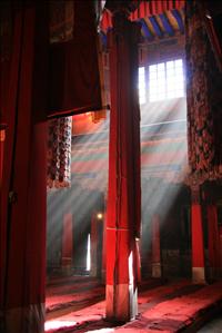 IMG_4708resized.JPG