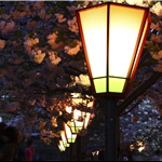 Sakuranomiya, Osaka