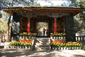 IMG_4628resized.JPG