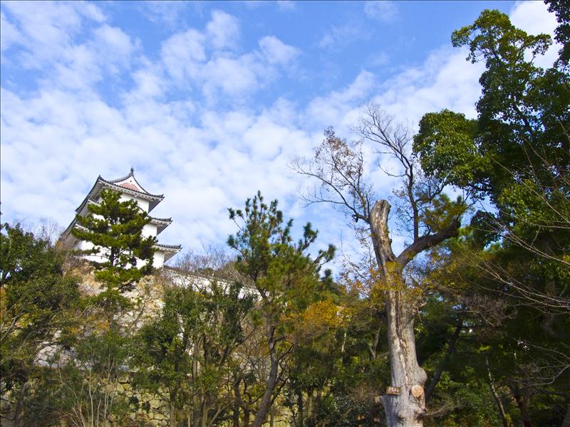 Akashi Castle