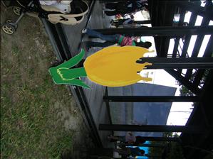 DSCF0577.JPG