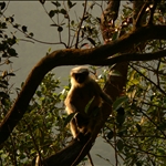 Matheran016.JPG