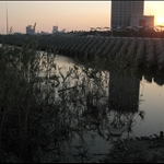 Shanghai Tour Day 9 - Jinshan