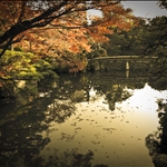 Soraku-en Garden