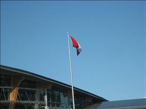 IMG_2701.JPG