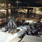 spending the night in a bedouin tent