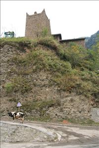 IMG_1594resized.JPG