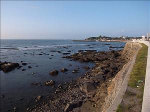 R0012439.jpg